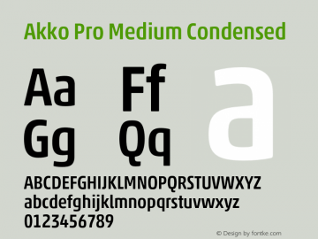 Akko Pro Medium Condensed Version 1.00图片样张