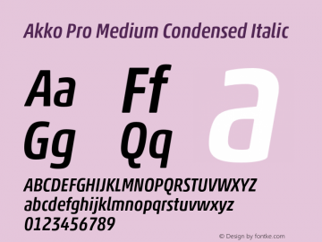 Akko Pro Medium Condensed It Version 1.00图片样张