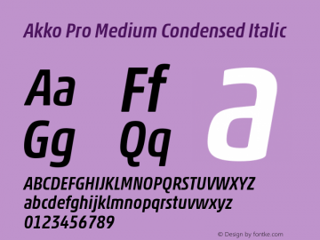 Akko Pro Medium Condensed It Version 1.00图片样张