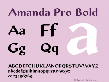 AmandaPro-Bold Version 1.00; 2007图片样张