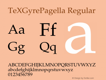 TeXGyrePagella Regular Version 1.000;PS 1.000;hotconv 1.0.49;makeotf.lib2.0.14853 Font Sample