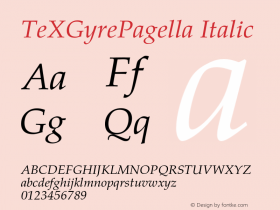 TeXGyrePagella Italic Version 1.000;PS 1.000;hotconv 1.0.49;makeotf.lib2.0.14853图片样张