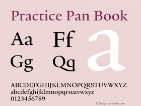 Practice Pan Book Version 3.001图片样张