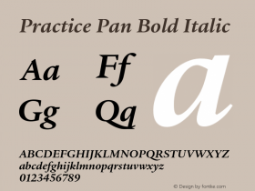 Practice Pan Bold Italic Version 3.001图片样张