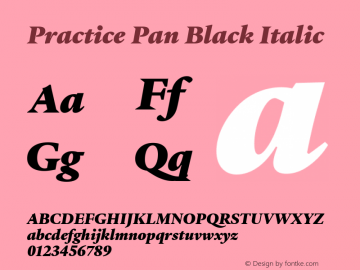 Practice Pan Black Italic Version 3.001图片样张