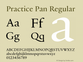 Practice Pan Regular Version 3.001图片样张