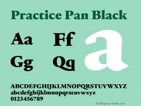 PracticePan-Black Version 3.001图片样张