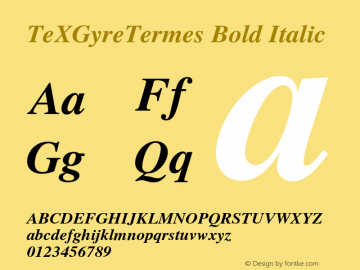 TeXGyreTermes Bold Italic Version 1.000;PS 1.000;hotconv 1.0.49;makeotf.lib2.0.14853 Font Sample