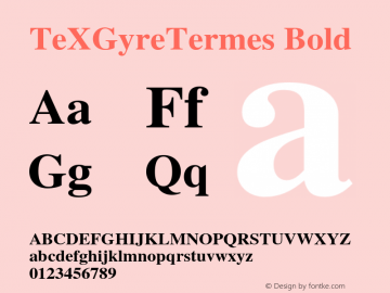 TeXGyreTermes Bold Version 2.004;PS 2.004;hotconv 1.0.49;makeotf.lib2.0.14853 Font Sample