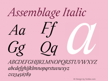 Assemblage-Italic Version 1.000;PS 001.000;hotconv 1.0.88;makeotf.lib2.5.64775图片样张