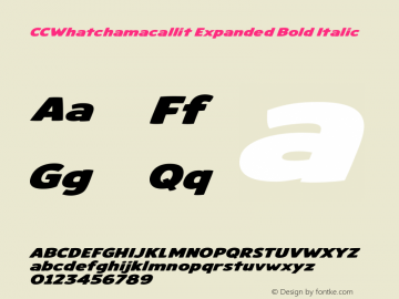 CCWhatchamacallit Expanded Bold Italic Version 1.000;hotconv 1.0.109;makeotfexe 2.5.65596图片样张