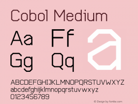 Cobol-Medium 1.000图片样张