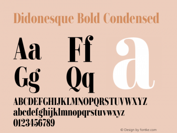 Didonesque Bold Condensed Version 1.000;PS 001.000;hotconv 1.0.88;makeotf.lib2.5.64775图片样张