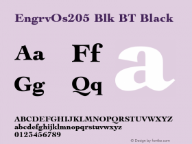 EngrvOs205 Blk BT Black Version 1.01 emb4-OT图片样张