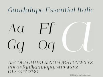 GuadalupeEssential-Italic 1.000图片样张