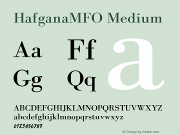 HafganaMFO Medium 1/28/04图片样张