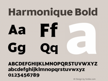 Harmonique Bold Version 1.000;FEAKit 1.0图片样张