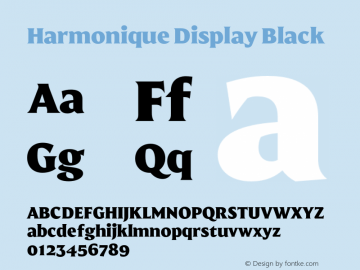 Harmonique Display Black Version 1.000;FEAKit 1.0图片样张