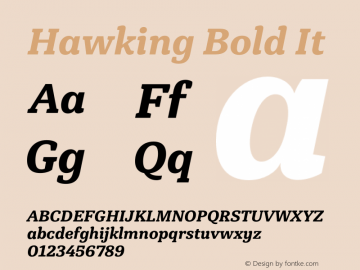 Hawking Bold It Version 1.000;PS 001.000;hotconv 1.0.88;makeotf.lib2.5.64775图片样张