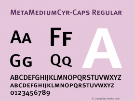 MetaMediumCyr-Caps Regular 004.301 Font Sample