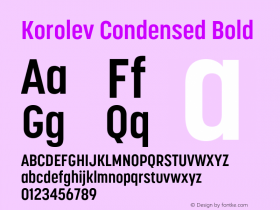 Korolev Condensed Bold Version 6.000;FEAKit 1.0图片样张