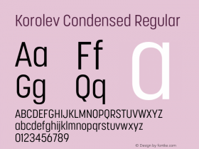 Korolev Condensed Regular Version 6.000;FEAKit 1.0图片样张