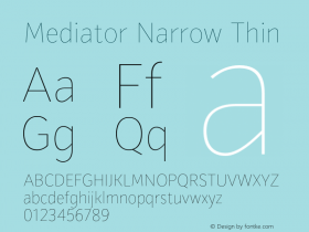 Mediator Narrow Thin Version 1.0图片样张