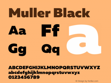 Muller-Black Version 1.000;PS 001.000;hotconv 1.0.88;makeotf.lib2.5.64775图片样张