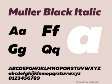 Muller-BlackItalic Version 1.000;PS 001.000;hotconv 1.0.88;makeotf.lib2.5.64775图片样张