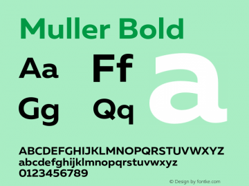Muller-Bold Version 1.000;PS 001.000;hotconv 1.0.88;makeotf.lib2.5.64775图片样张