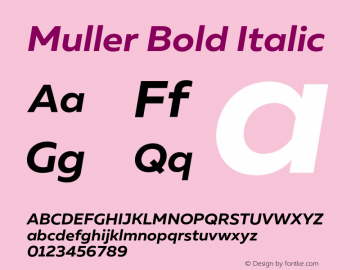 Muller-BoldItalic Version 1.000;PS 001.000;hotconv 1.0.88;makeotf.lib2.5.64775图片样张