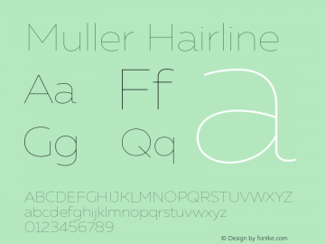 Muller-Hairline Version 1.000;PS 001.000;hotconv 1.0.88;makeotf.lib2.5.64775图片样张