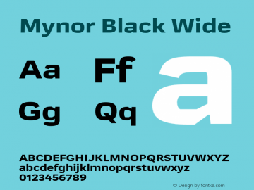 Mynor Black Wide Version 001.000 January 2019图片样张