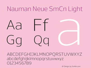 Nauman Neue SmCn Light Version 001.001 January 20201图片样张