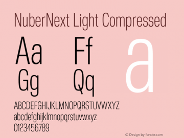 NuberNext Light Compressed Version 001.002 February 2020图片样张