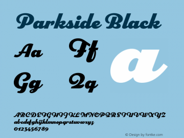 Parkside Black Version 1.007; ttfautohint (v1.8)图片样张