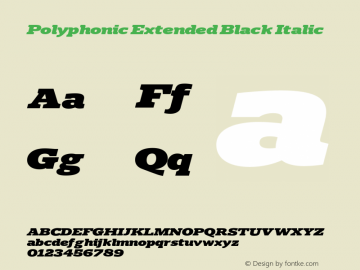 Polyphonic Extended Black Italic Version 1.000;PS 001.000;hotconv 1.0.88;makeotf.lib2.5.64775图片样张