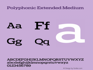 Polyphonic Extended Medium Version 1.000;PS 001.000;hotconv 1.0.88;makeotf.lib2.5.64775图片样张