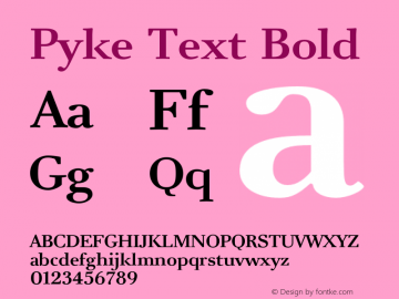 Pyke Text Bold Version 001.001 February 2021图片样张