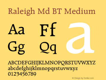 Raleigh Md BT Medium Version 1.01 emb4-OT图片样张