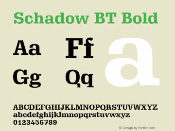 Schadow BT Bold Version 1.01 emb4-OT图片样张
