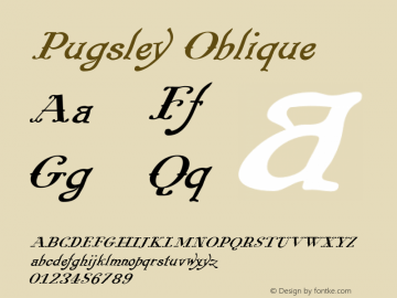 Pugsley Oblique Version 0.2图片样张