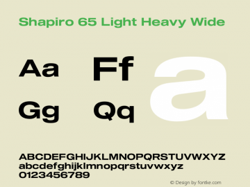 Shapiro 65 Light Heavy Wide Version 2.000;PS 002.000;hotconv 1.0.88;makeotf.lib2.5.64775图片样张