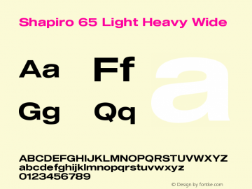 Shapiro 65 Light Heavy Wide Version 2.000图片样张