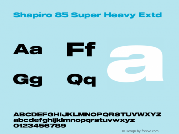 Shapiro 85 Super Heavy Extd Version 3.001图片样张