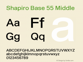 Shapiro Base 55 Middle Version 2.000图片样张