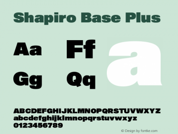 Shapiro Base Plus Version 2.000图片样张