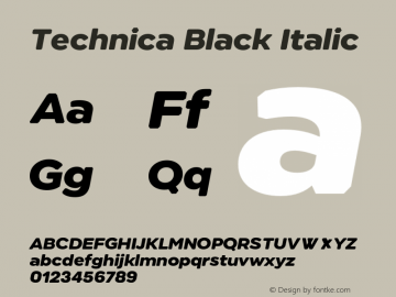 Technica Black Italic Version 2.000;FEAKit 1.0图片样张