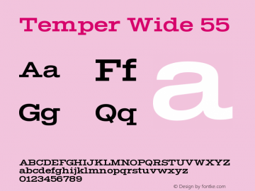 Temper Wide 55 Version 2.001图片样张