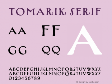 Tomarik Serif Version 1.000图片样张